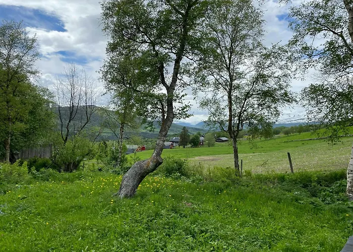 Mountain Base For Active Explorers Oppdal